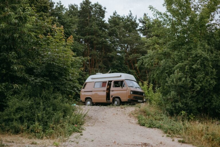 a campervan in a forest